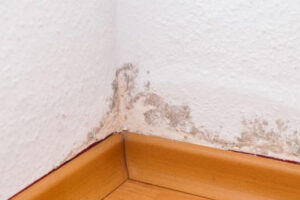 humedades vivienda